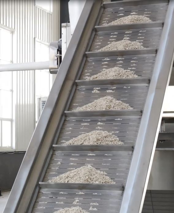 Cat litter factory production line - tofu and bentonite manufacturer China